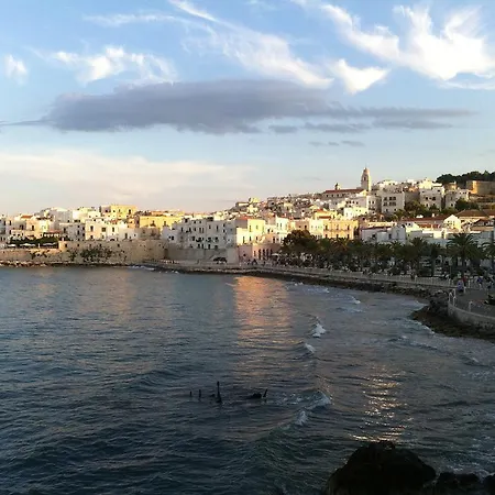 Village Baia Falcone База отдыха *